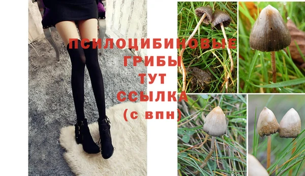 прущие крисы Бронницы