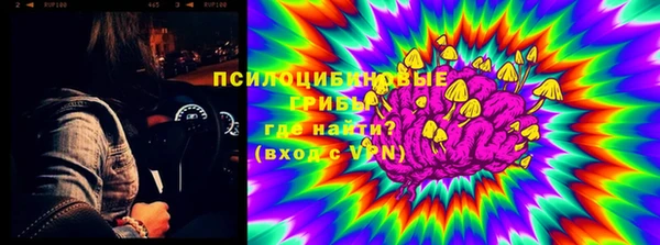 прущие крисы Бронницы