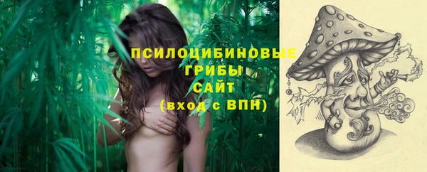 бутират Бородино